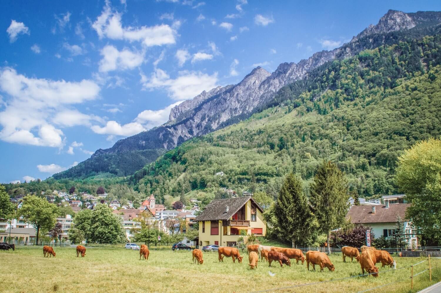 Wow! Absolutely stunning photos of Liechtenstein to ignite your wanderlust. This is one of the smallest countries in the world and one of Europe's most underrated gems. This photo guide to Liechtenstein will explain why. #Liechtenstein #Europe #Travel 