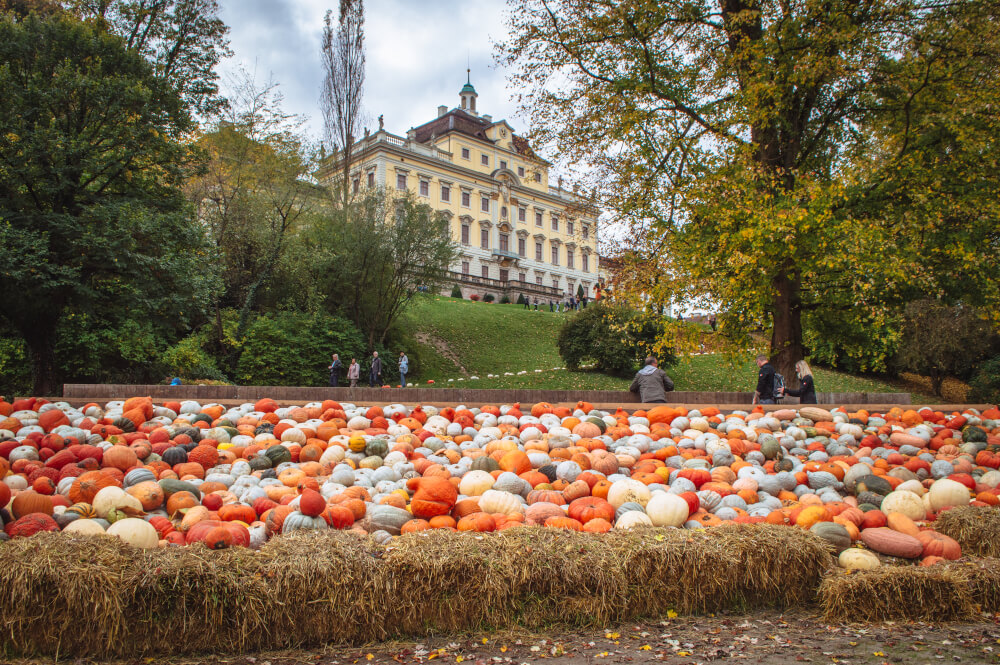 Ludwigsborg Pumpkin Festival, one of the best things to do in Germany