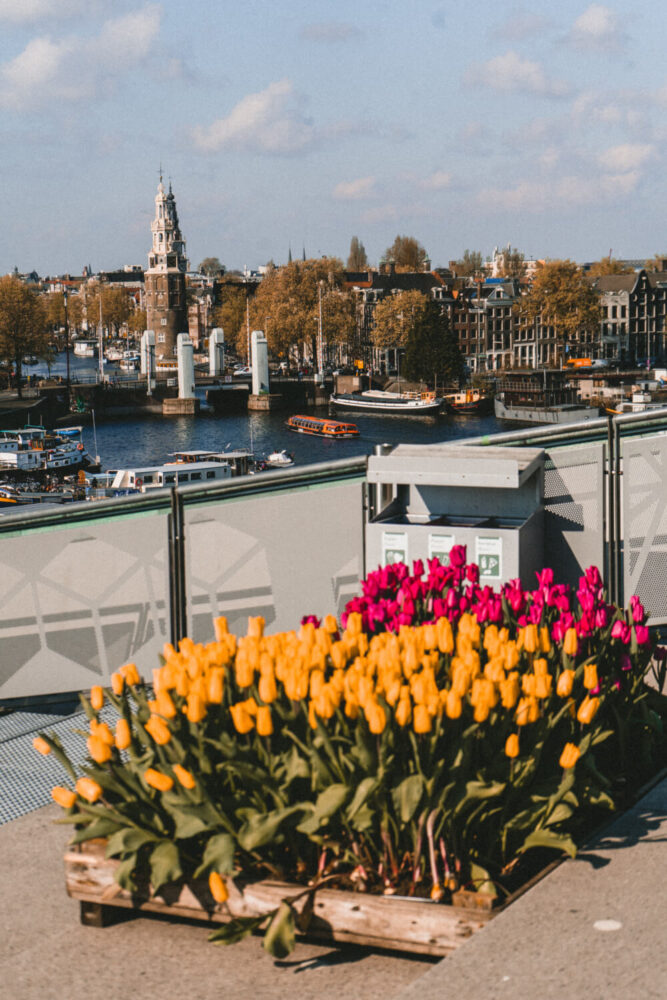 How to Visit Keukenhof from Amsterdam: An Easy Day Trip Guide