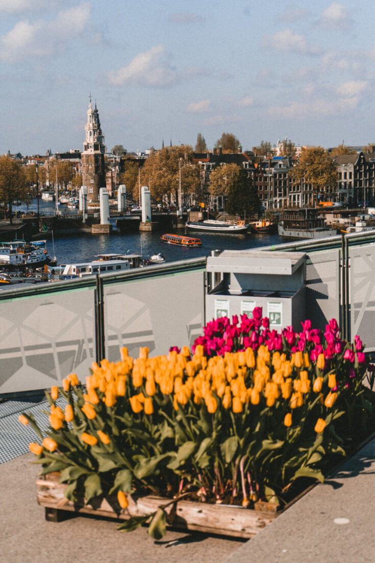 lovers canal cruise i amsterdam card