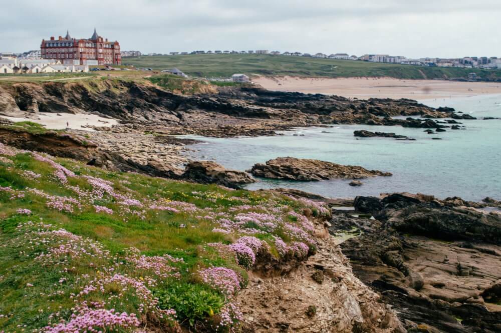 A scenic view with flowers of the coast in Cornwall, England.