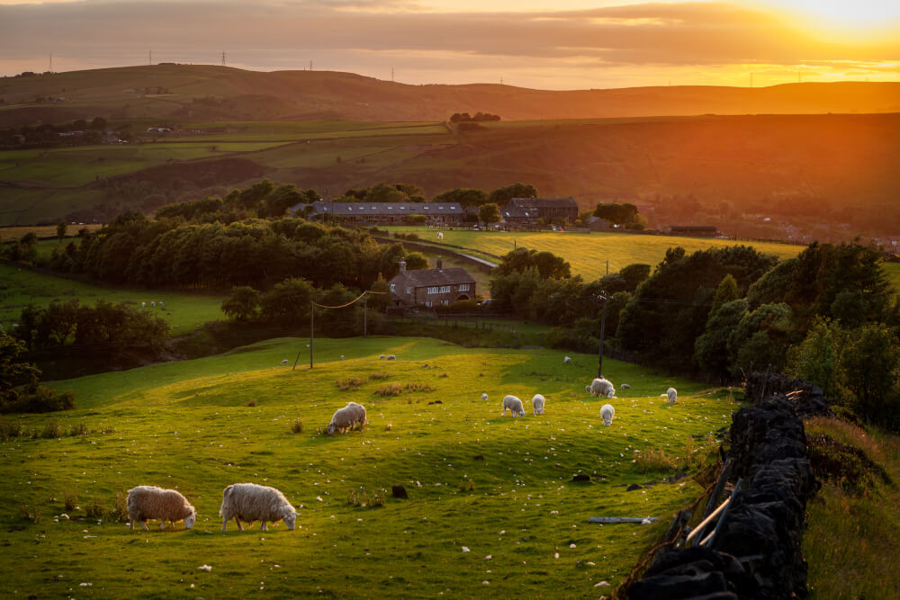 A sunset with rolling hills and sheep in the Lake District, England.