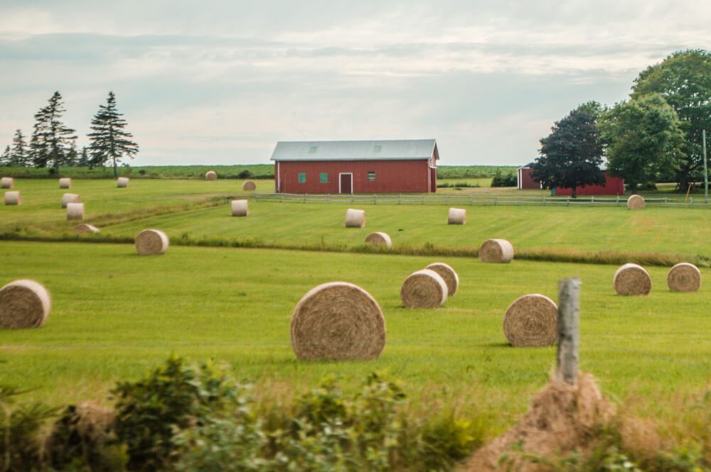 WOW! Prince Edward Island, Canada is definitely an underrated destination. Check out these great photos of Prince Edward Island to see why. #PEI #Canada