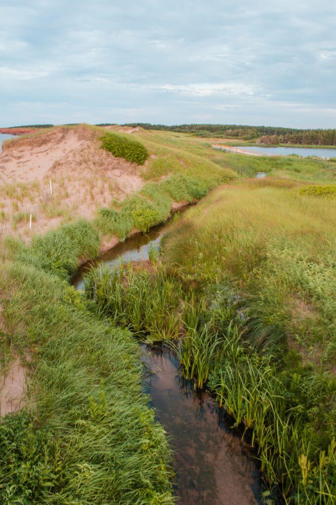 WOW! Prince Edward Island, Canada is definitely an underrated destination. Check out these great photos of Prince Edward Island to see why. #PEI #Canada