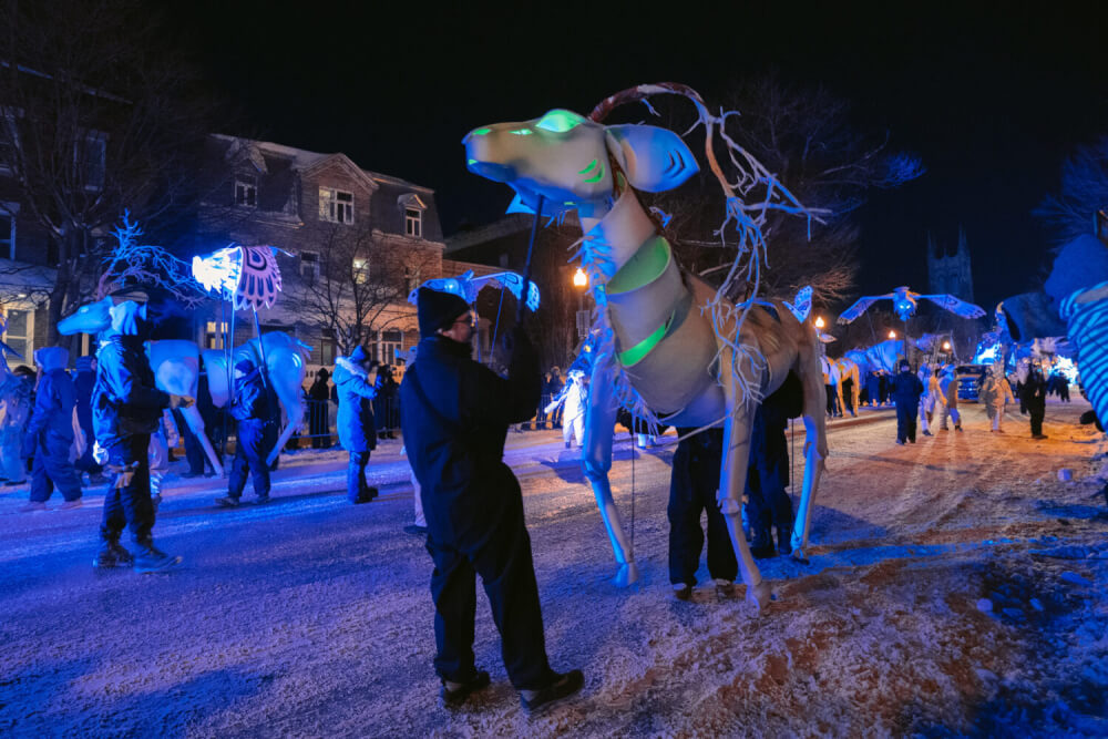 Quebec Winter Night