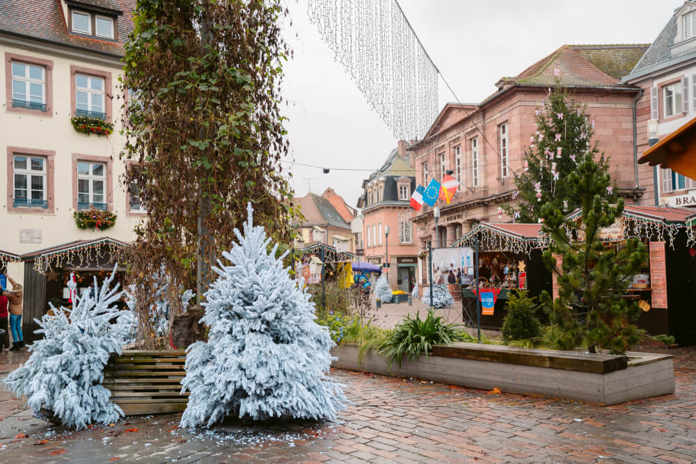 Christmas trees in a square in Selestat France