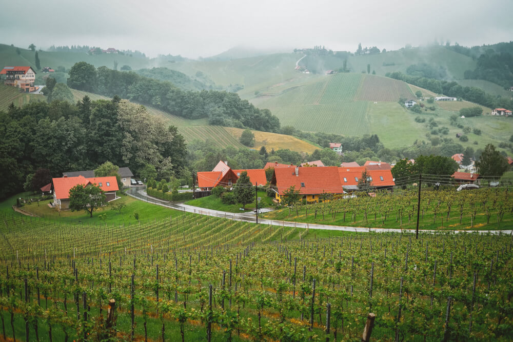 South Styria wine route view