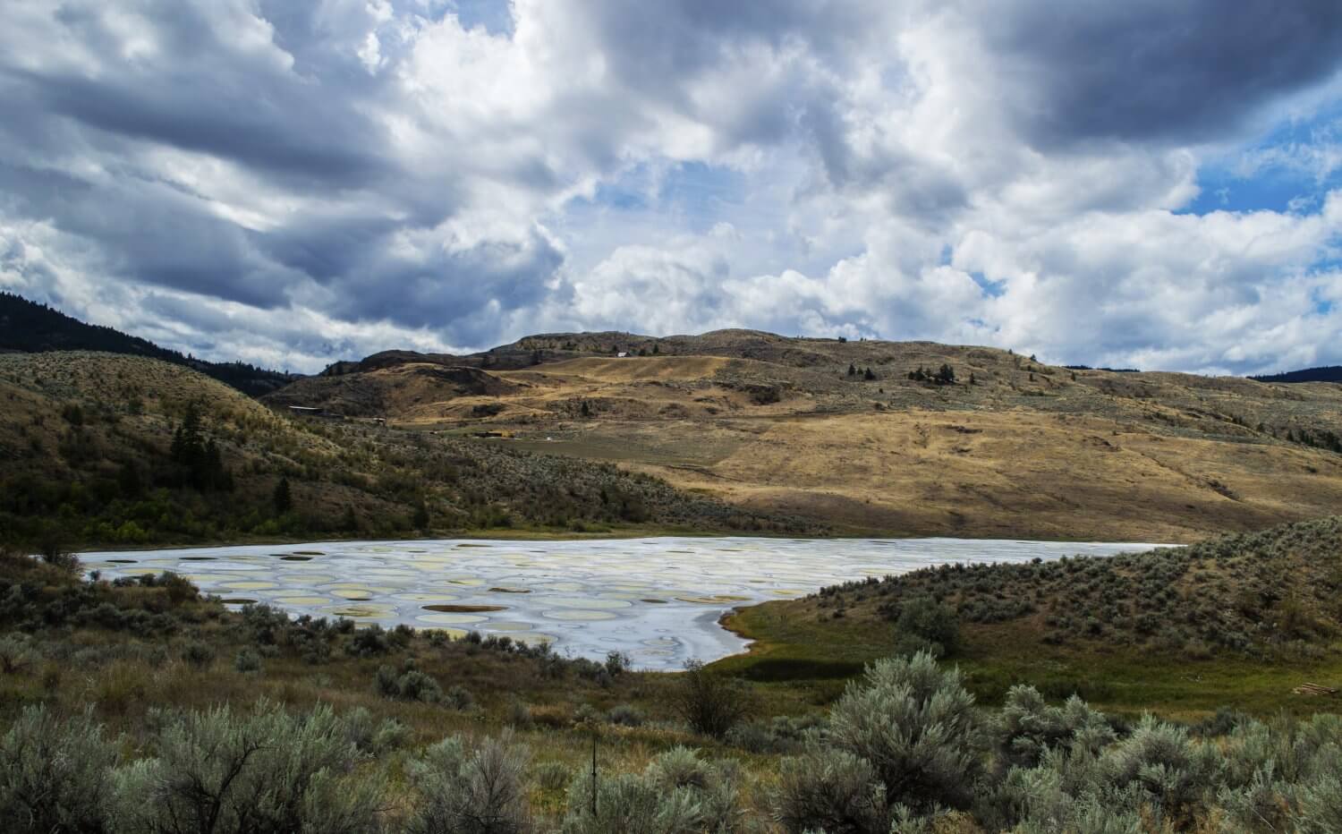 Polka dotted lake with blue and yellow spots in Osoyoos, BC, Canada