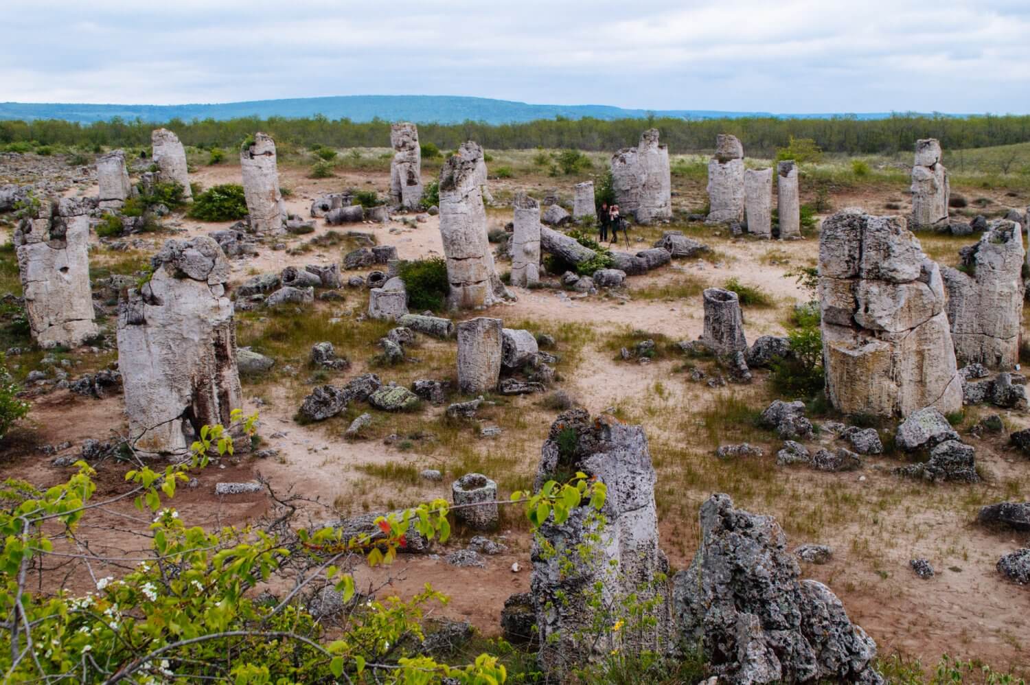 Stone Forest near Varna, Bulgaria