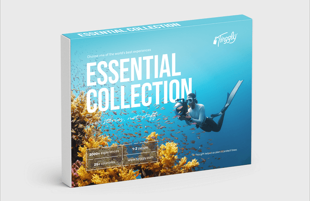 A Tinggly Experience Box