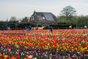 30+ Unique Things to Do in the Netherlands (That You Can’t Do Anywhere Else)