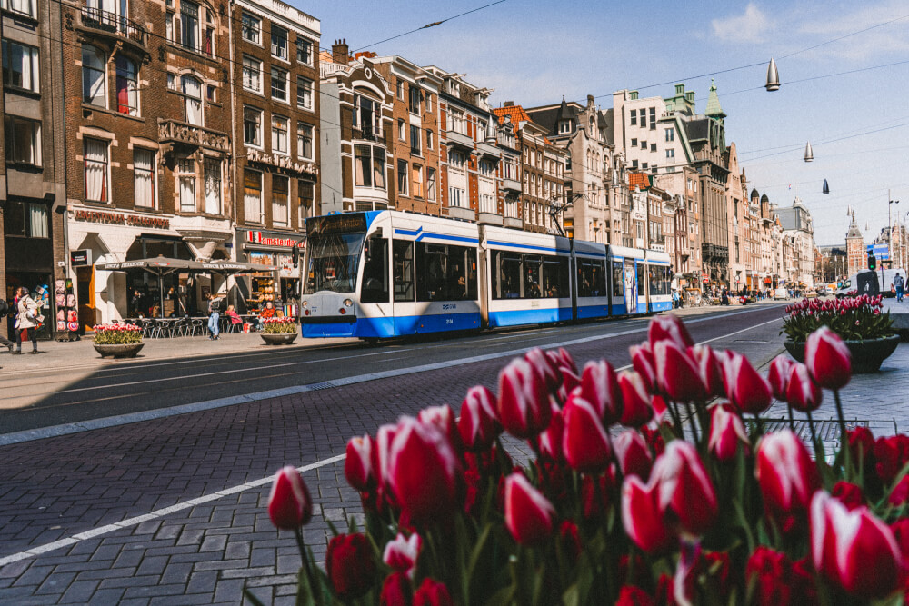 amsterdam travel tips