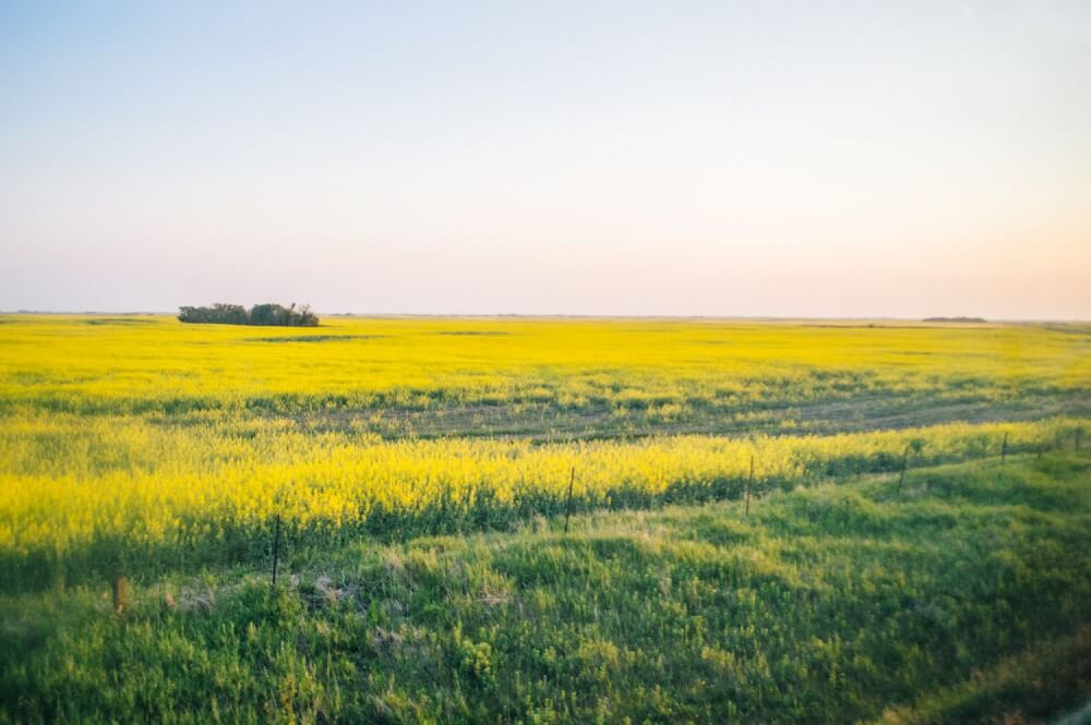 These incredible photos will inspire you to take the train across Canada. SO many inspirational photos that will inspire you to travel Canada, including Vancouver, Banff, Saskatoon, Toronto, Montreal, Halifax and Prince Edward Island. #Canada #TrainTravel #Travel #Vancouver #Toronto #PrinceEdwardIsland #Halifax #Saskatoon