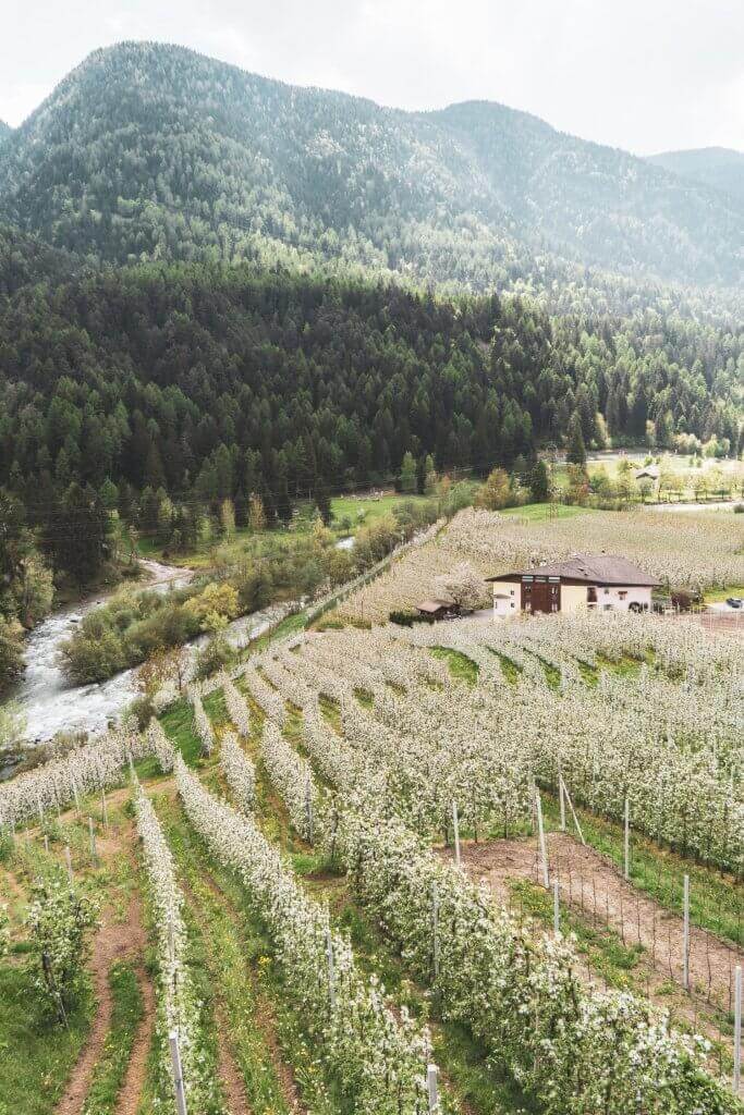 szukasz ukrytych klejnotów do odwiedzenia we Włoszech? Dlatego musisz odwiedzić niedocenianą prowincję Trydent! #Trentino #Trento # Rovereto