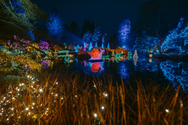 The Most Magical Vancouver Holiday Must-Dos: Festive Things to Do in ...