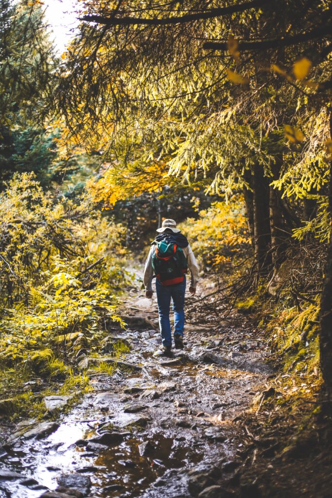 Backpacker hiking through the Vosges mountains in France