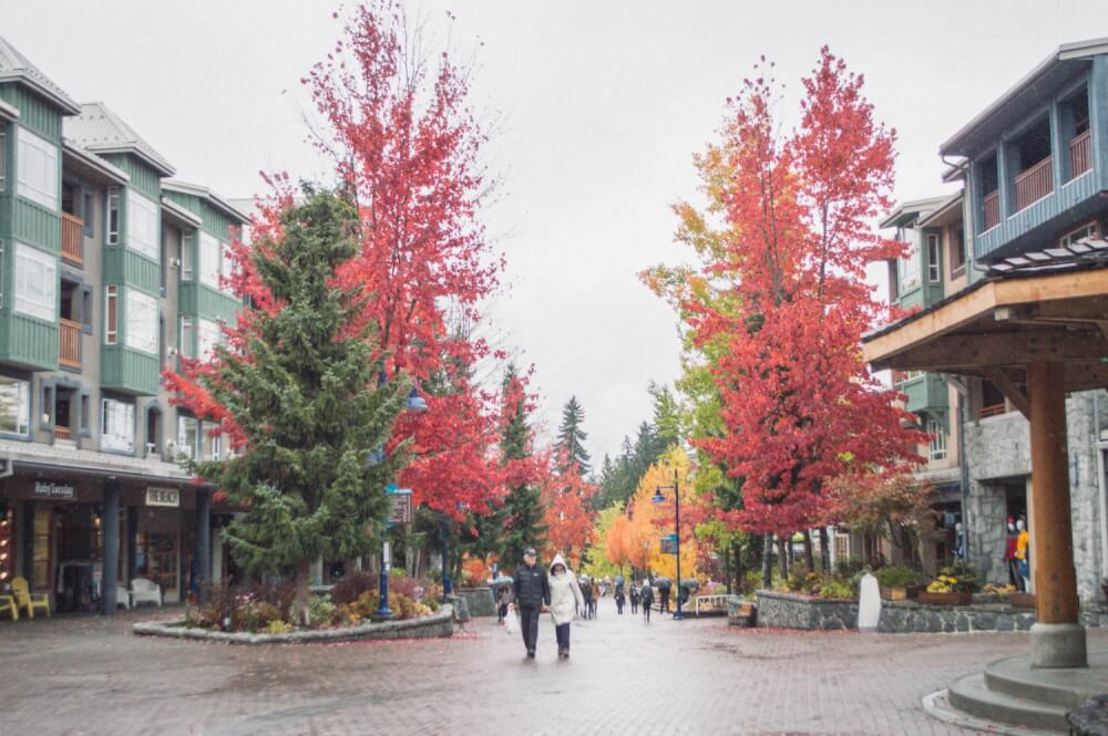 whistler-in-autumn-0310