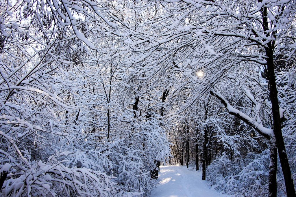 warm places to visit in winter