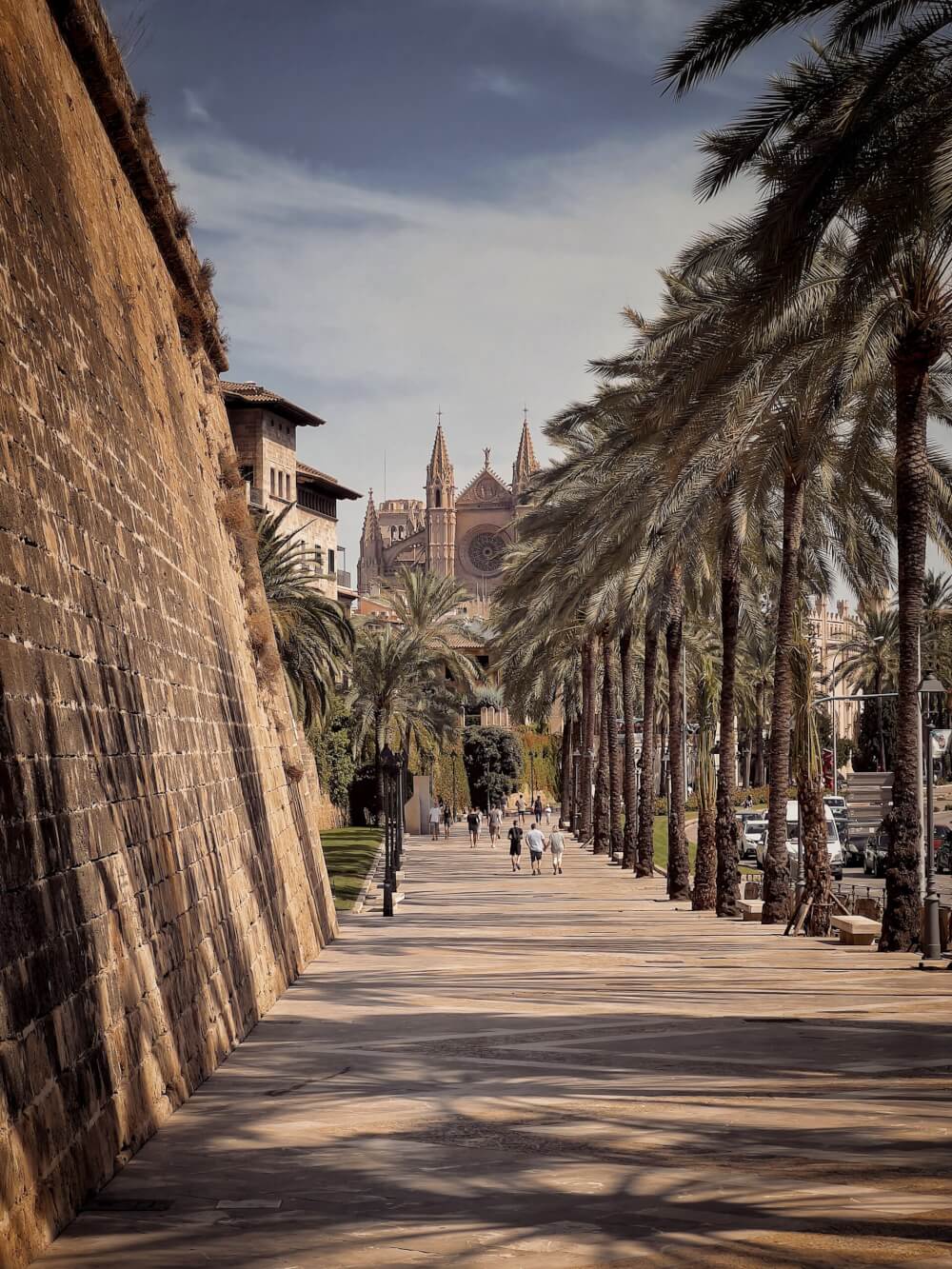 A palm-tree lined street that leads to a cathedral