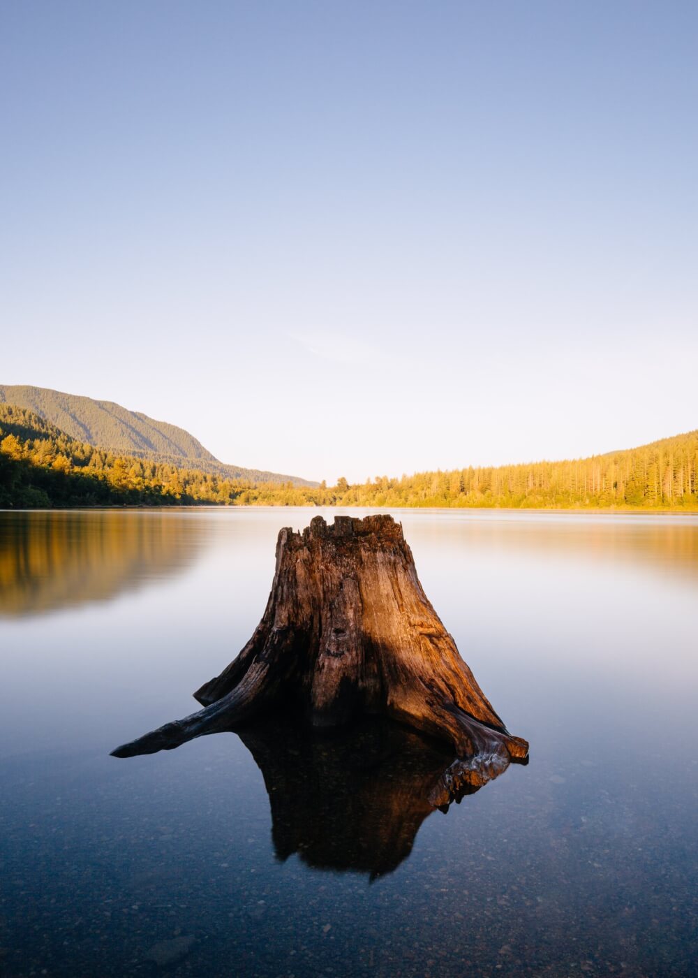 A photo of a tree stump surrounded by water on a crisp morning with forests and vegetated hills in the distance. 