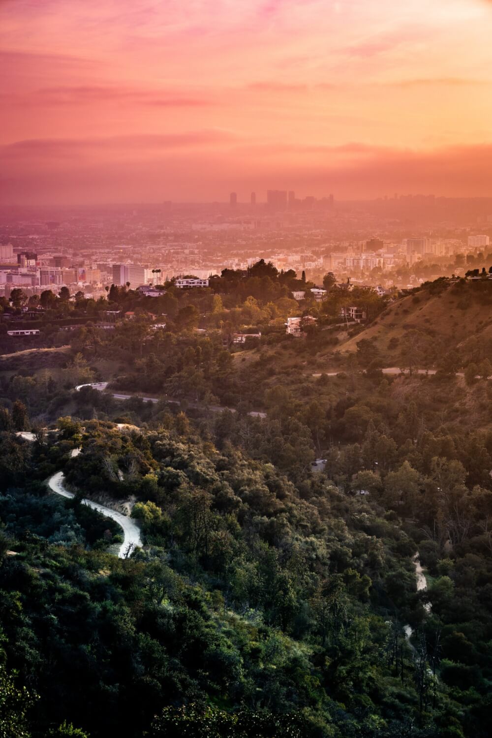 A view at dusk of the mountainous and hilly terrain with homes nestled in, roads carved through, and a cityscape in the background. These are prime habitats for mountain lions.