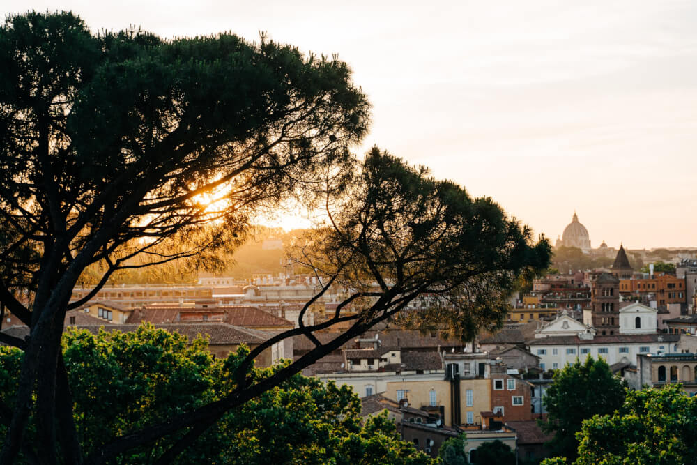 A view of Rome at sunset from a hill, partially obscured by a tree.