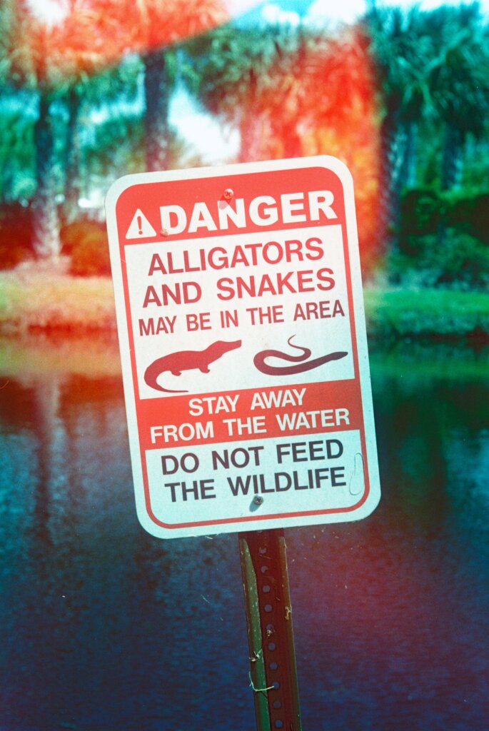 A sign warning people about dangerous wildlife, specifically alligators and snakes.