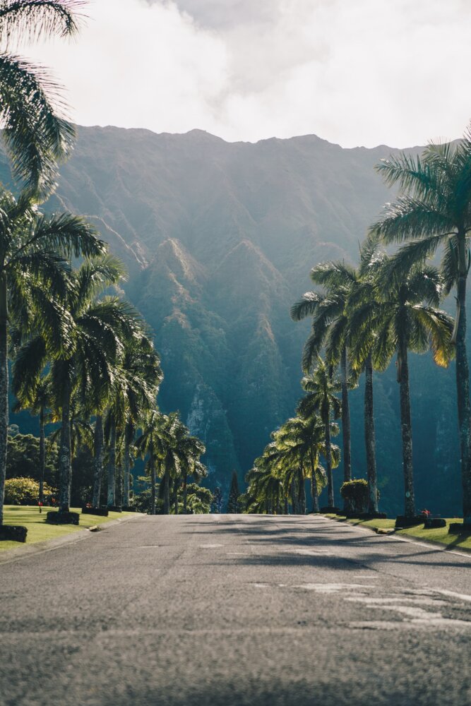 20+ Interesting & Fun Facts About Hawaii (That Most Visitors Don’t Know!)