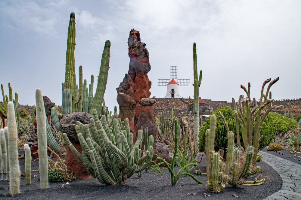 Incredible things to do in Lanzarote, one of the most beautiful Canary Islands in Spain. #Lanzarote #Spain #CanaryIslands #Travel