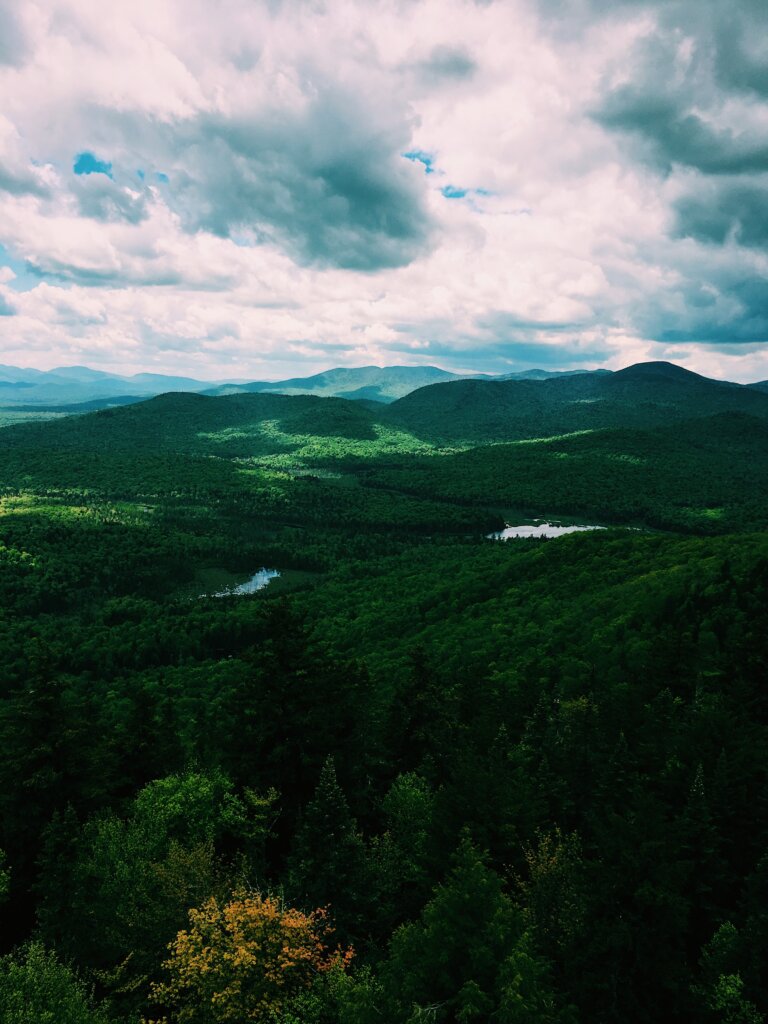 The lush, rolling Adirondack landscape.