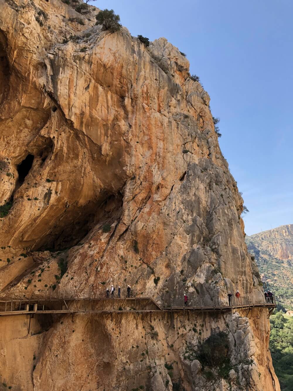 People in harnesses and helmets walk along a wooden suspension bridge on a cliff.