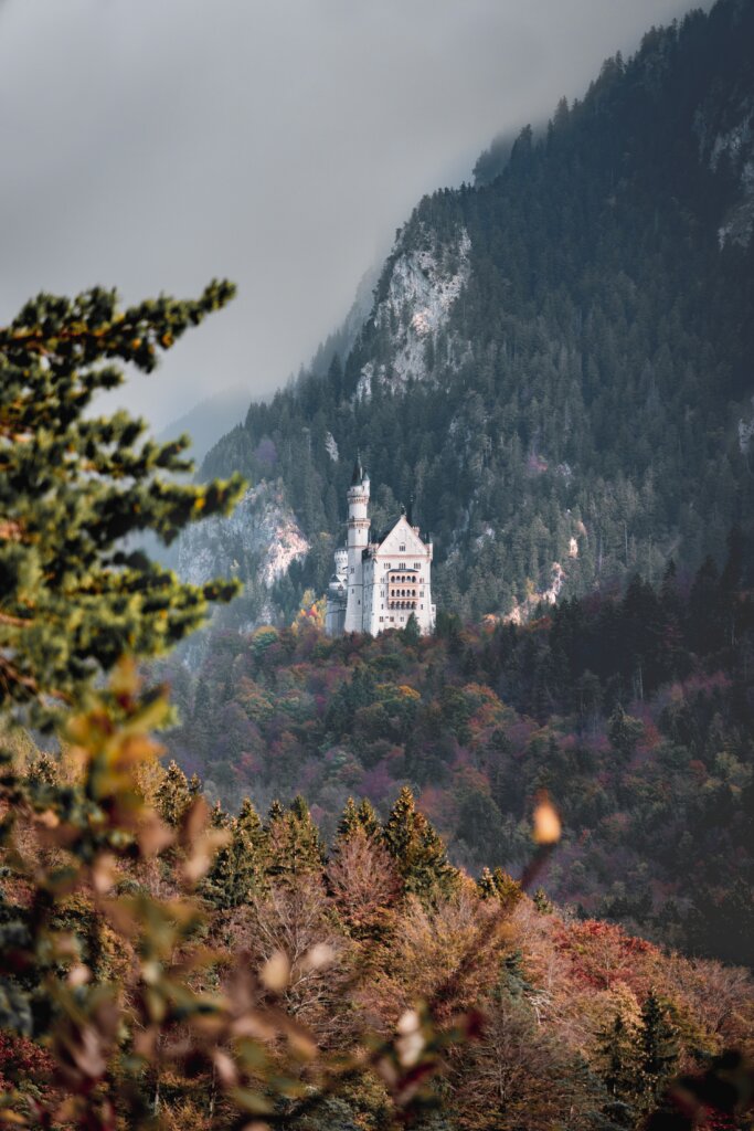 View of Neuschwanstein Castle on a hill in Bavaria