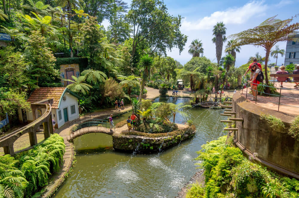 A tropical garden with people walking around a lake 