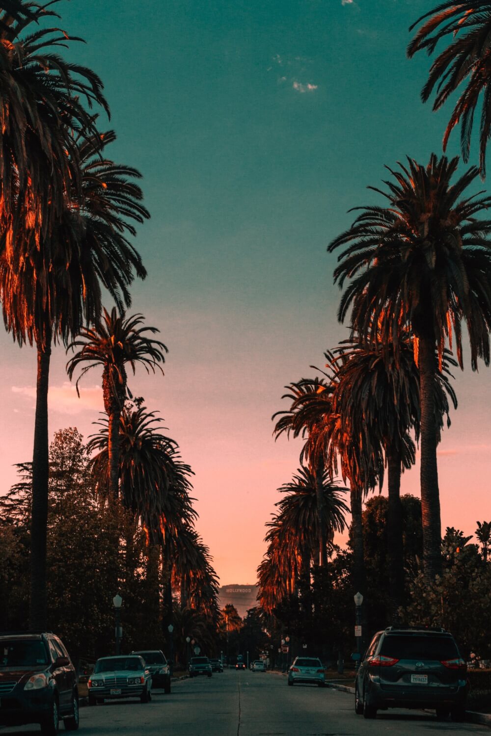 A lurid dusk sky over a street lined by palm trees with the hollywood sign positioned on a hillside in the distance. 