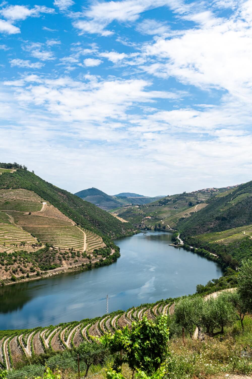 A river cutting through a valley, with terraced vineyards as far as the eye can see