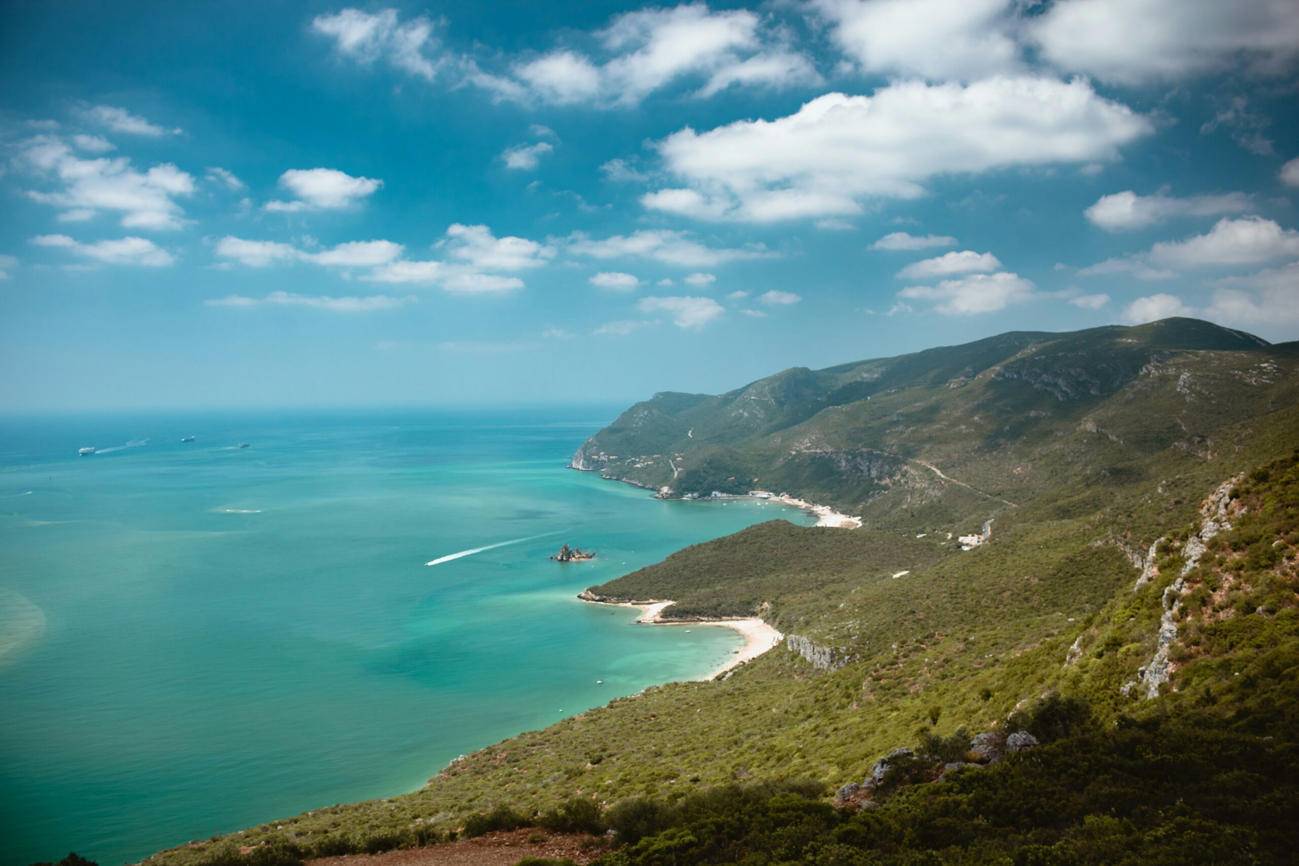 A forest coastline with a few speedboats in the water