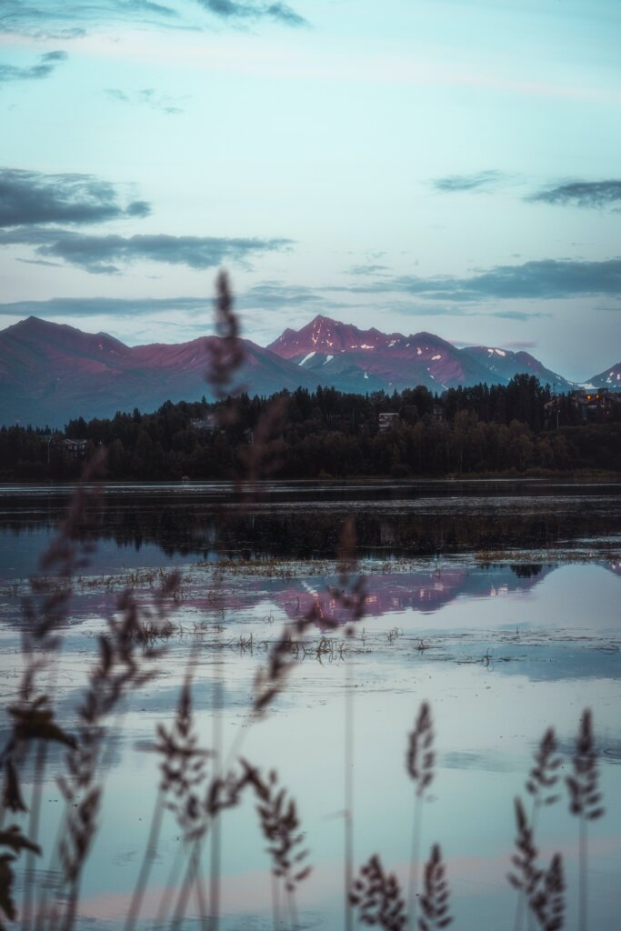 A beautiful view on a crisp morning through weeds at one of Alaska's 3,000,000 lakes with a mountain range in the background.