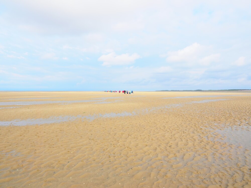 Mudflat hiking in Germany